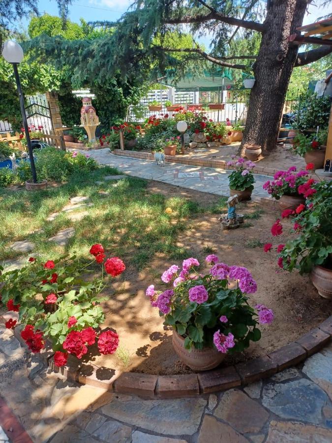 Handmade Peaceful Cozy House Near The Beach Nea Kallikrateia Εξωτερικό φωτογραφία