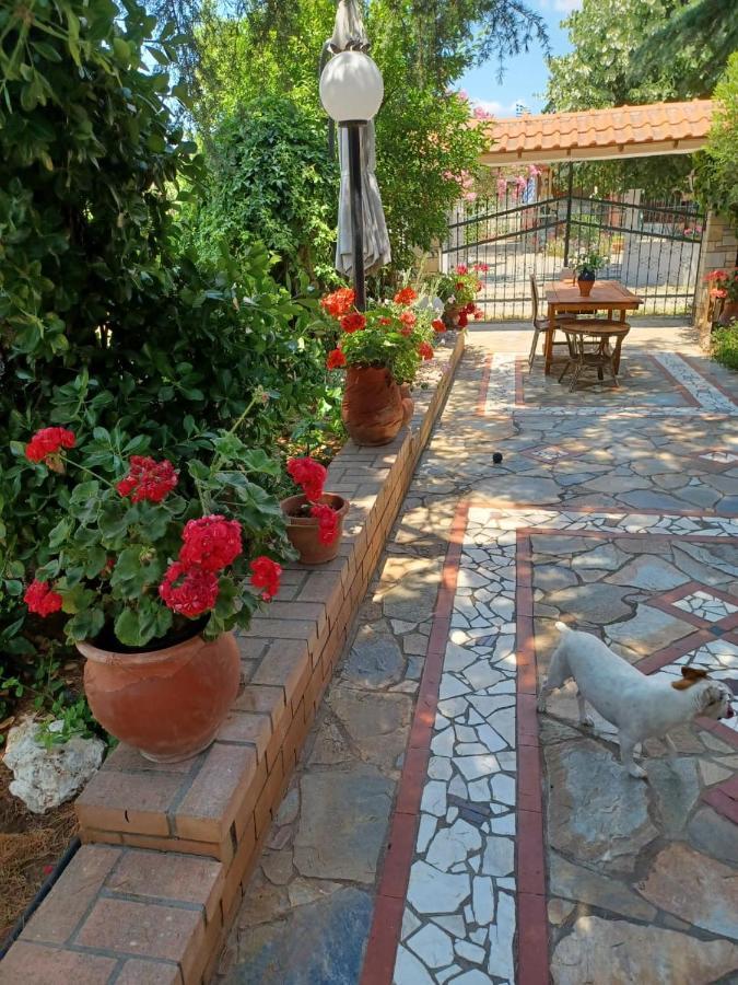 Handmade Peaceful Cozy House Near The Beach Nea Kallikrateia Εξωτερικό φωτογραφία